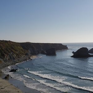 Meet your Posher, Susie